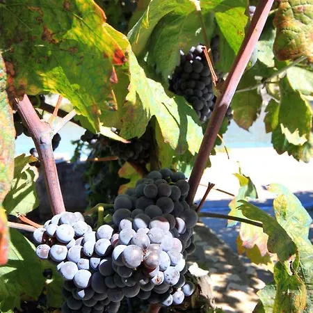 By The Sea Kneza, Korcula - 4365 Apartamento *